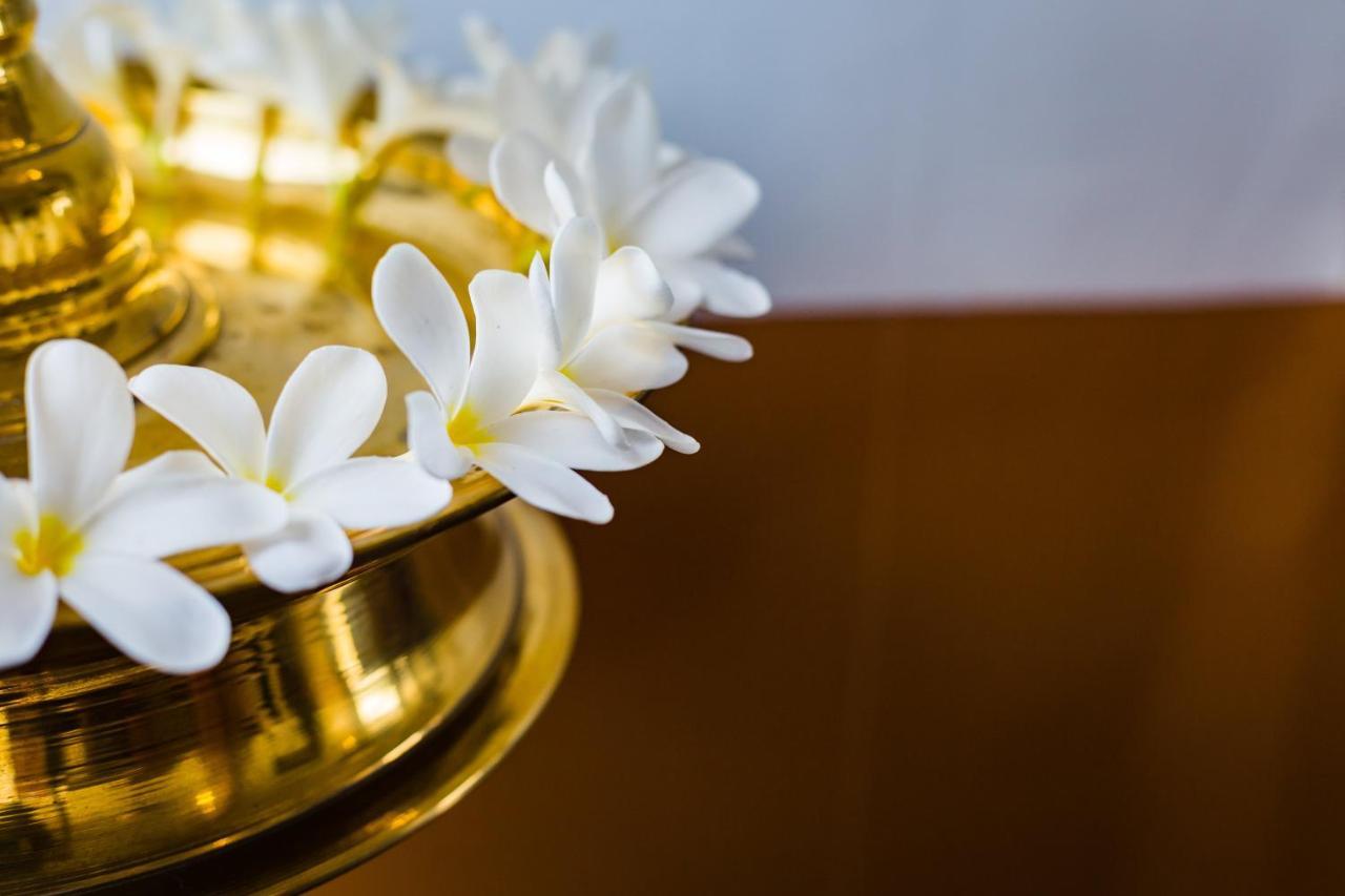 Mekosha Ayurveda Spa Suites Retreat & Resort Attingal Eksteriør bilde
